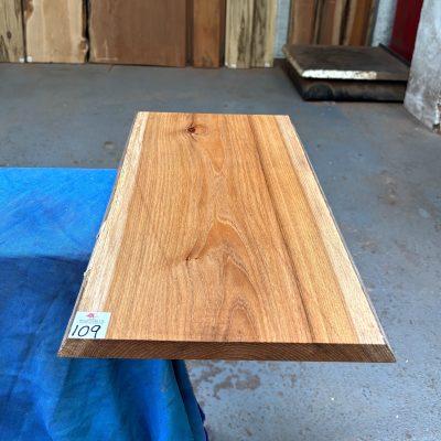 Red Elm 510x280x22 mm