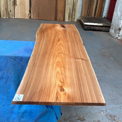 Red Elm 915x330x16 mm