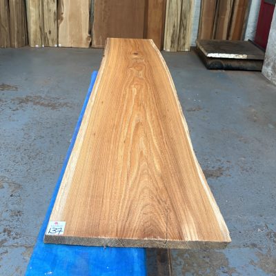 Red Elm 1560x300-340x21 mm