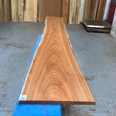 Red Elm 1670x270-340x21 mm