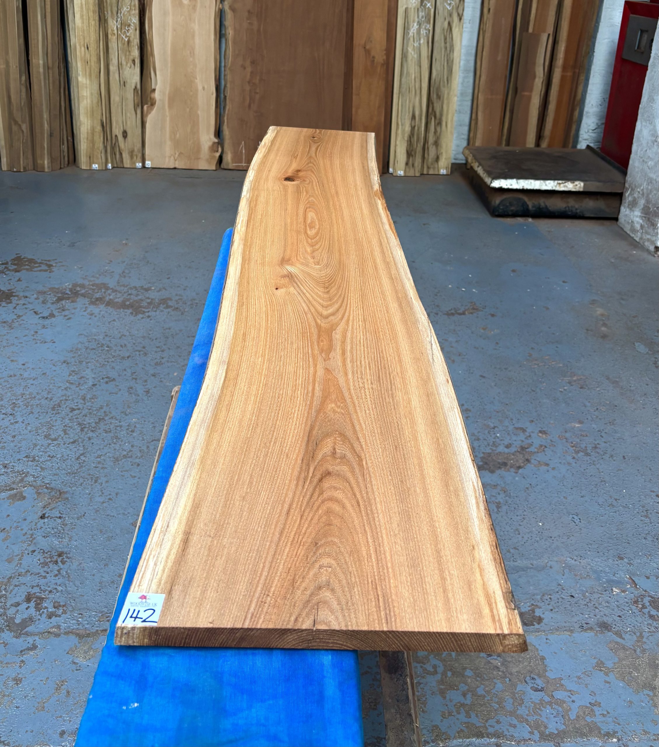 Red Elm 1835x330x21 mm
