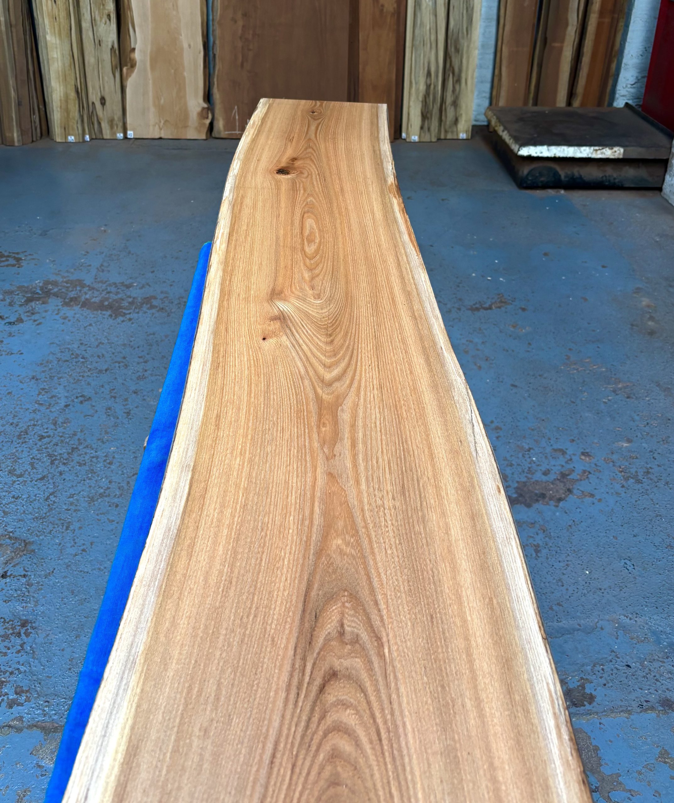 Red Elm 1835x330x21 mm