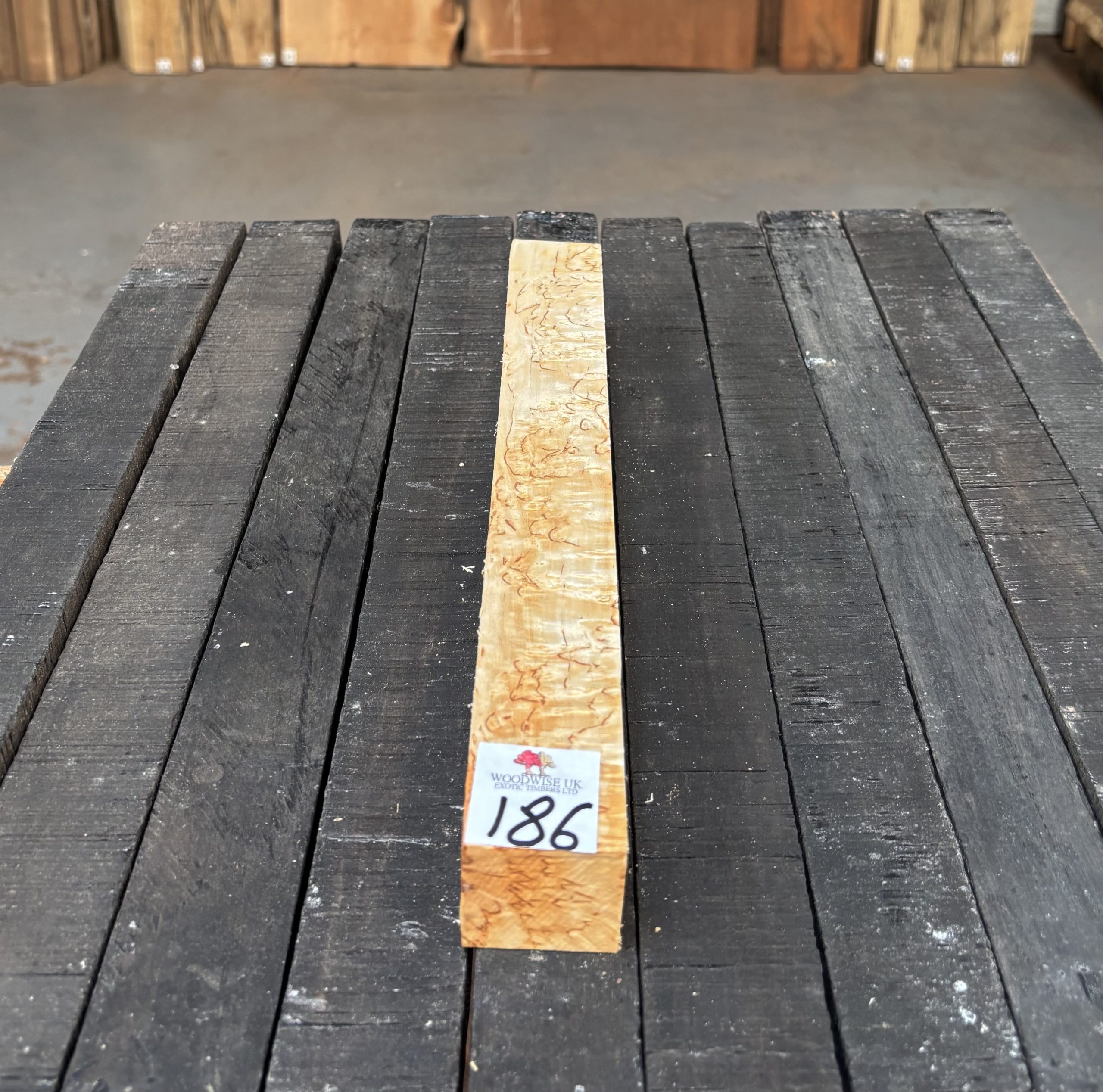 Curly Masur Birch B Grade 37x37x310 mm