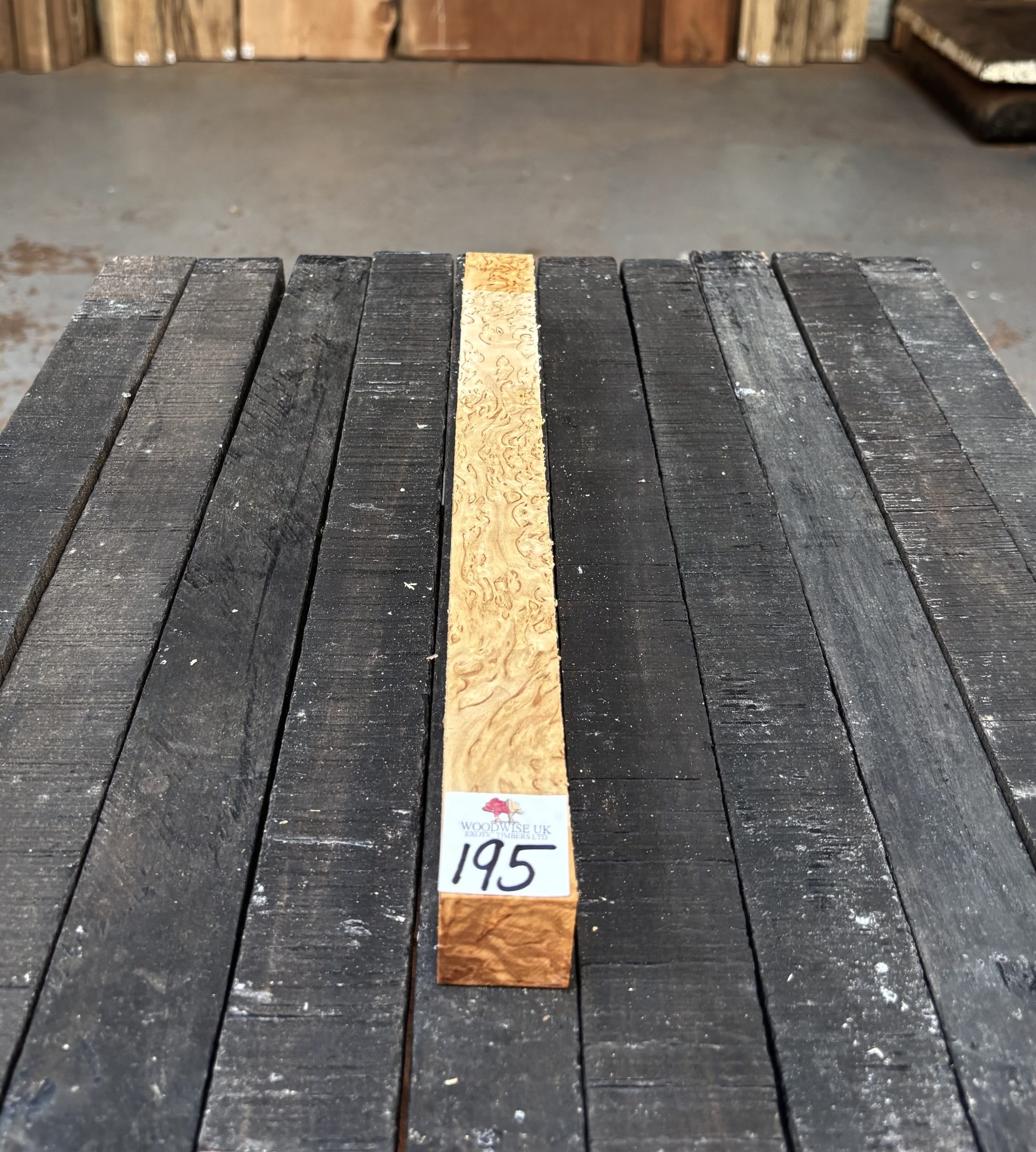 Curly Masur Birch B Grade 31x31x350 mm