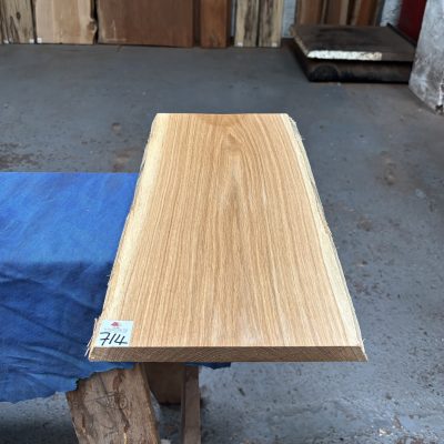 Oak (European) 510x255x22 mm