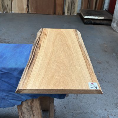 Oak (European) 510x275x22 mm
