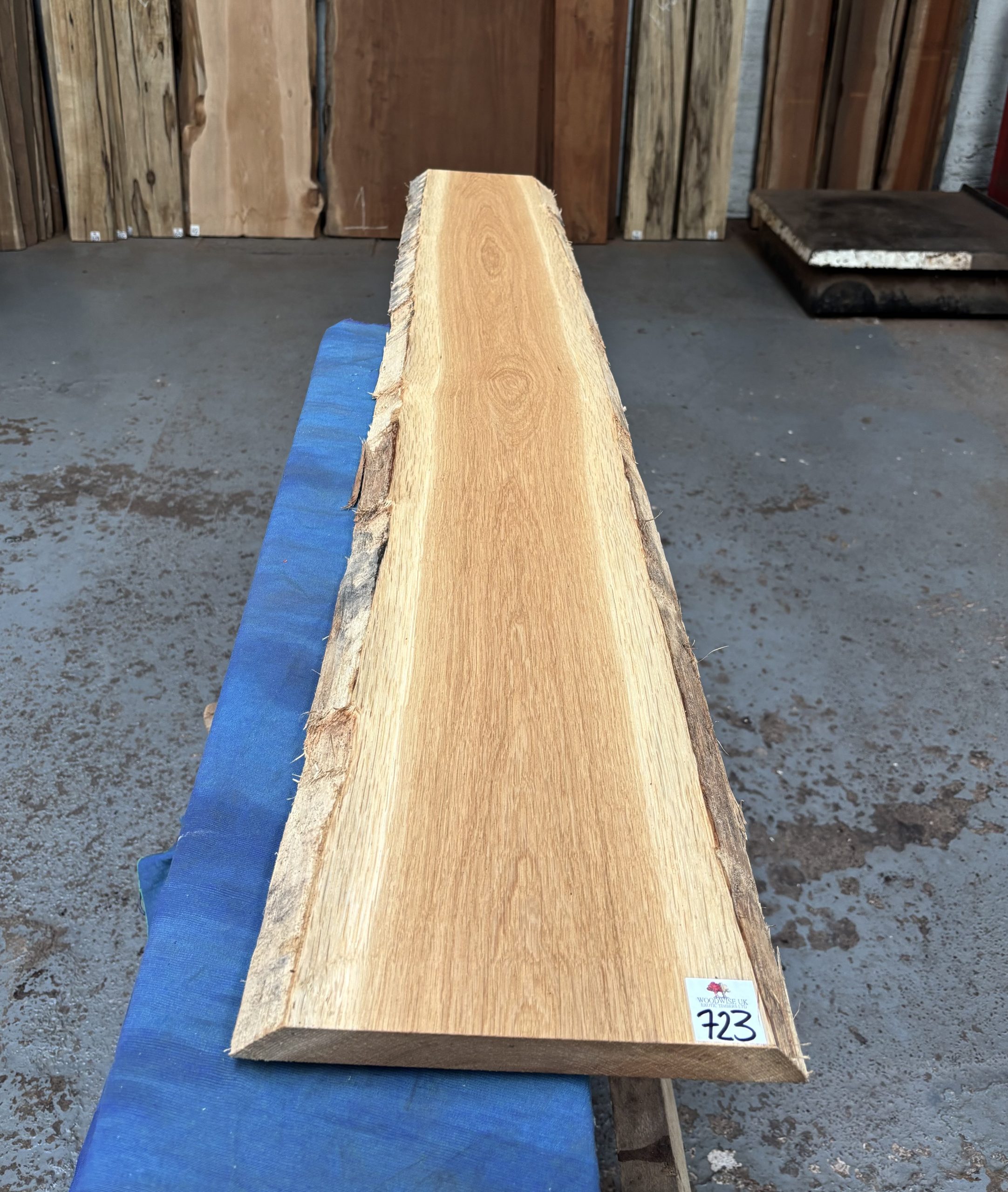 Oak (European) 1445x210-240x23 mm