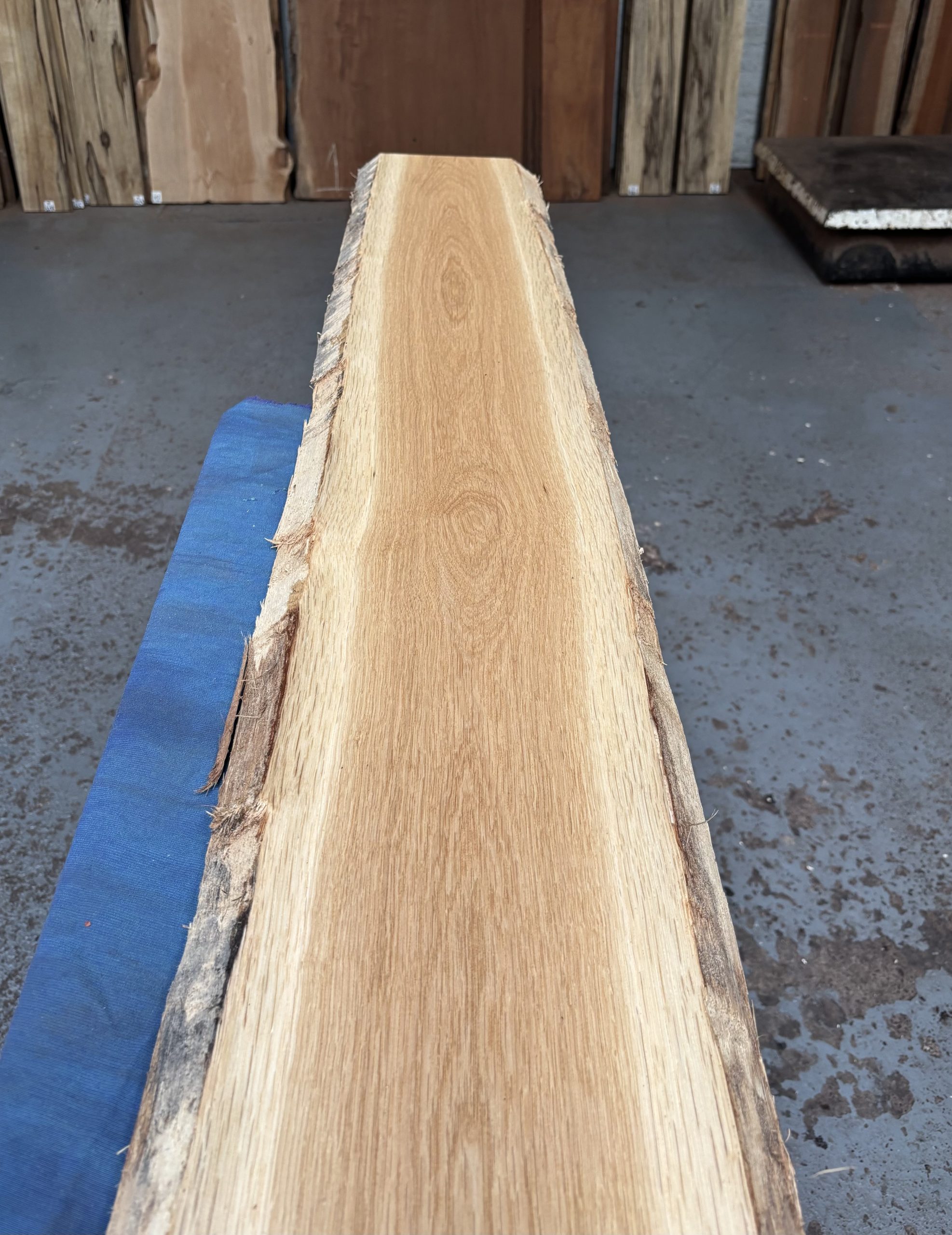 Oak (European) 1445x210-240x23 mm