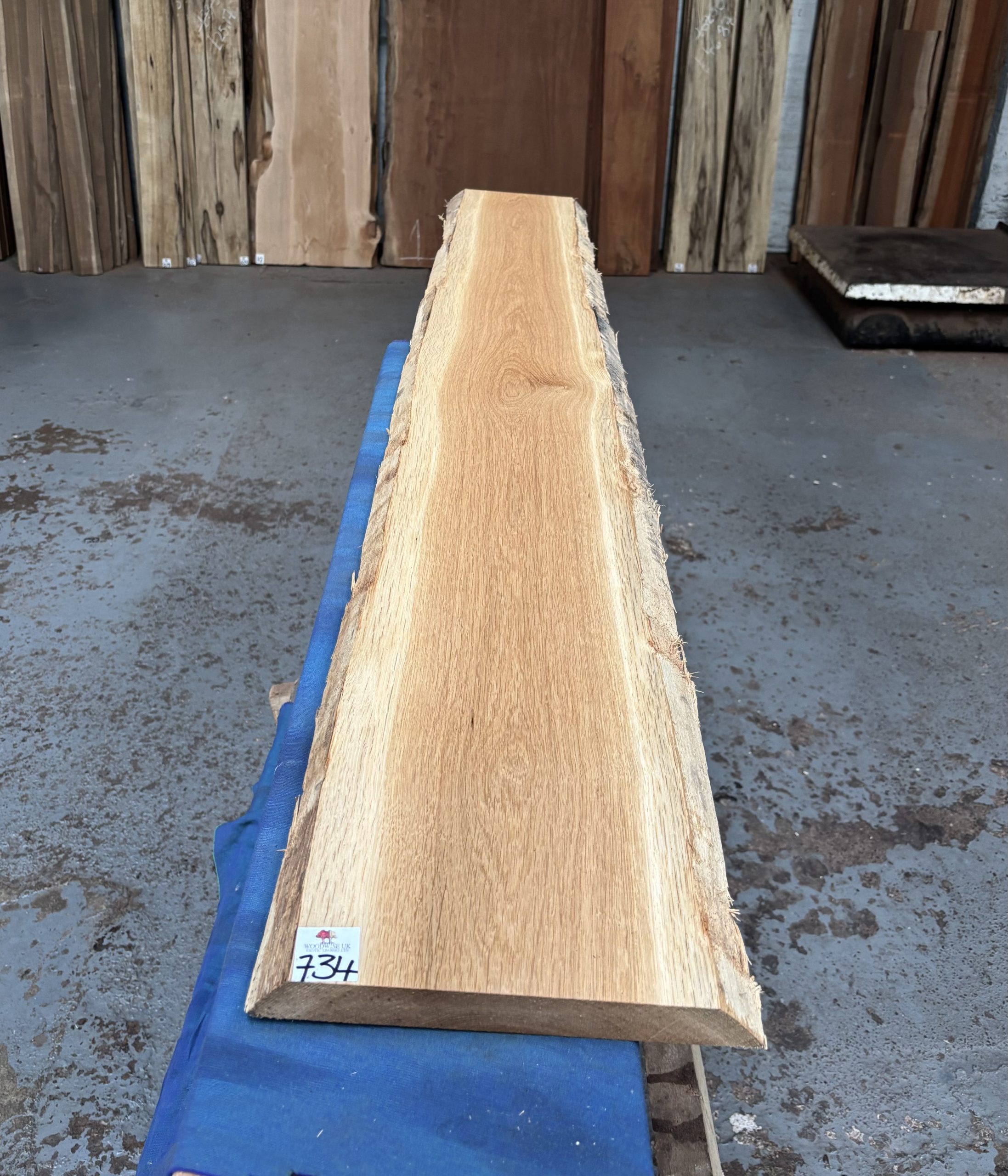 Oak (European) 1565x220-240x25 mm