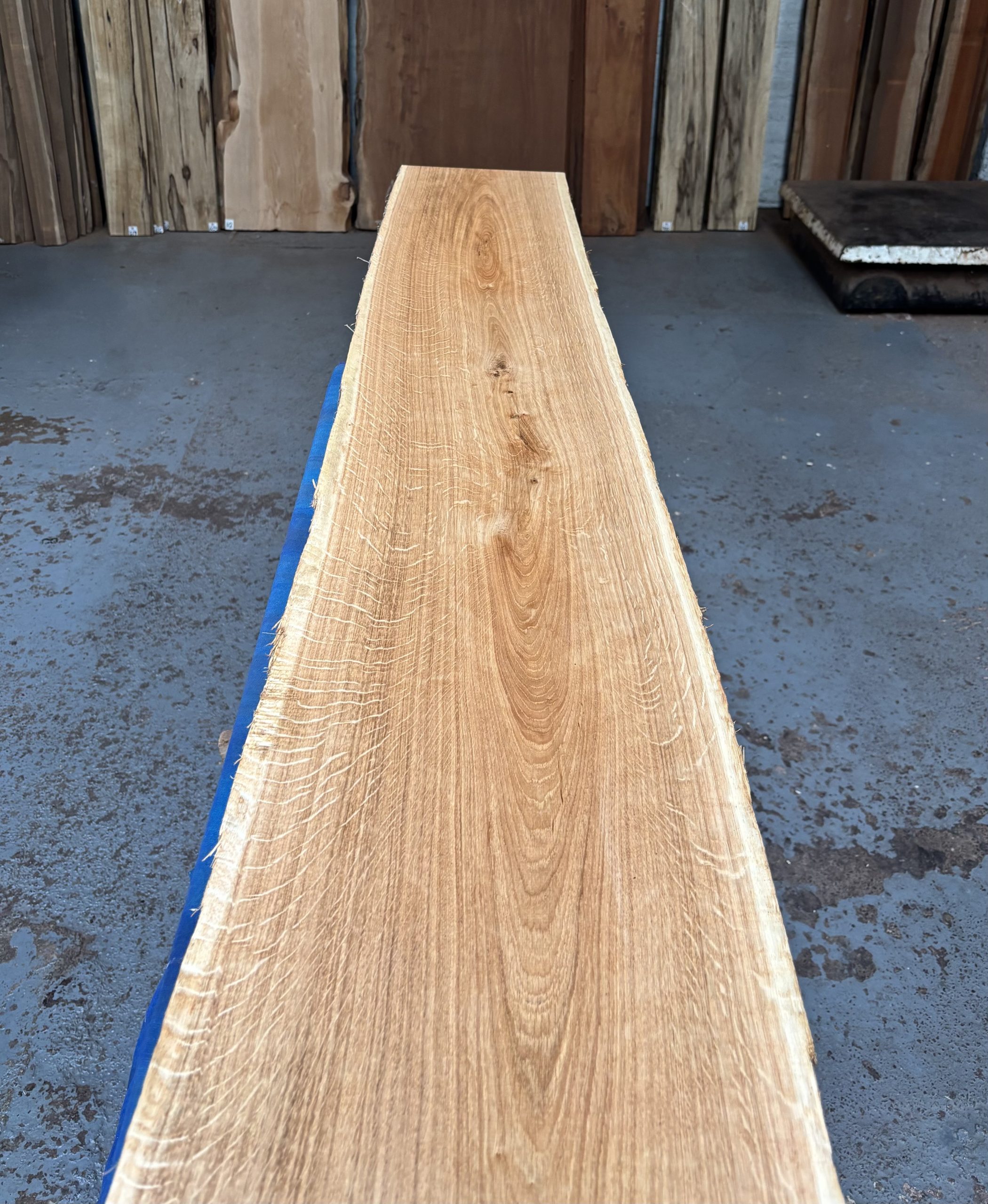 Oak (European) 1670x270-300x18 mm