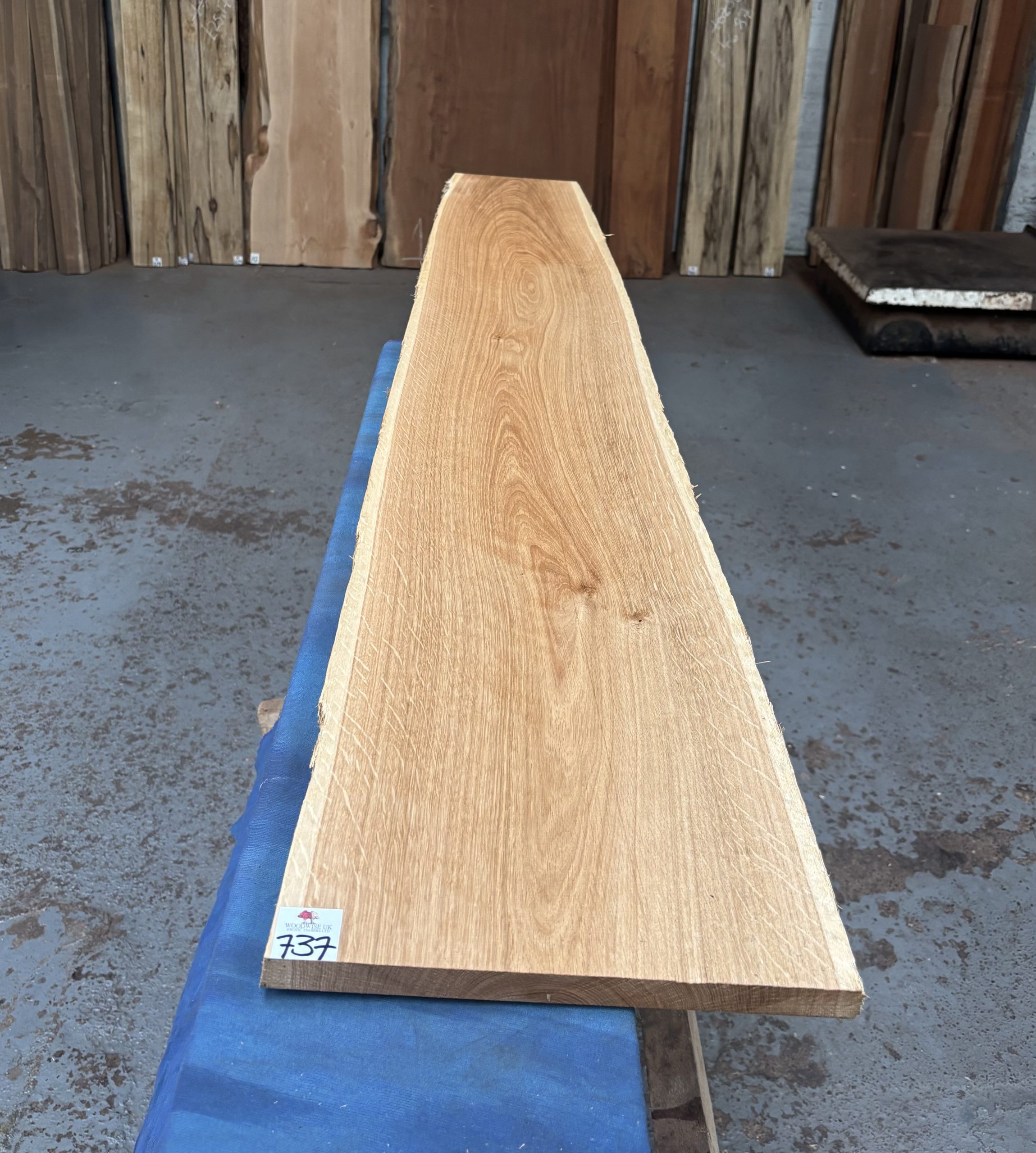 Oak (European) 1635x240-280x20 mm