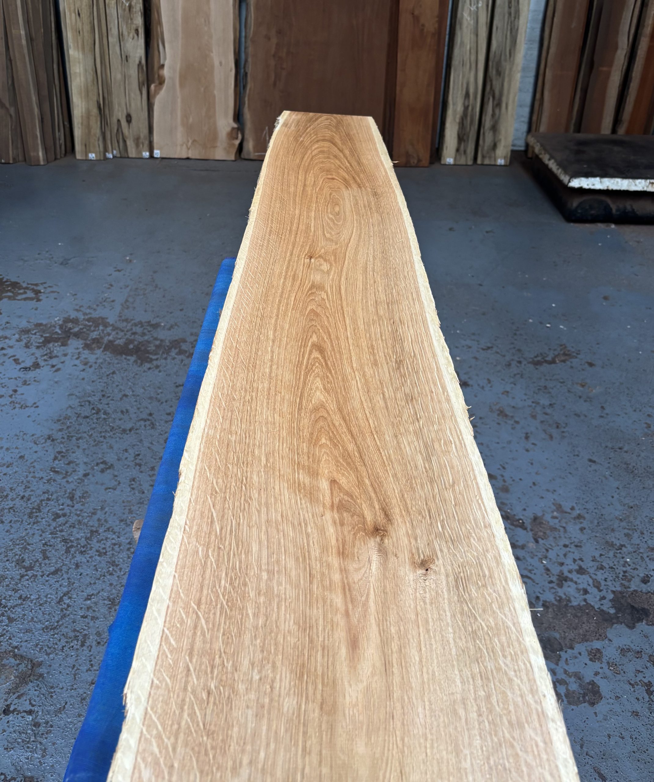 Oak (European) 1635x240-280x20 mm