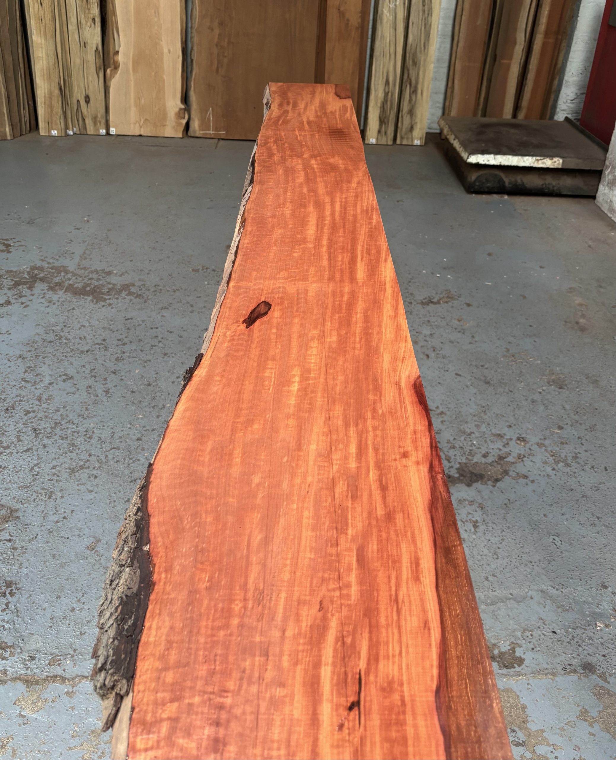 Pearwood (Figured Swiss) 2205x250-300x33 mm