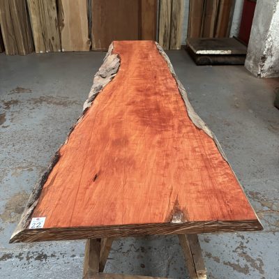 Pearwood (Figured Swiss) Rustic Grade 1630x360-520x37 mm