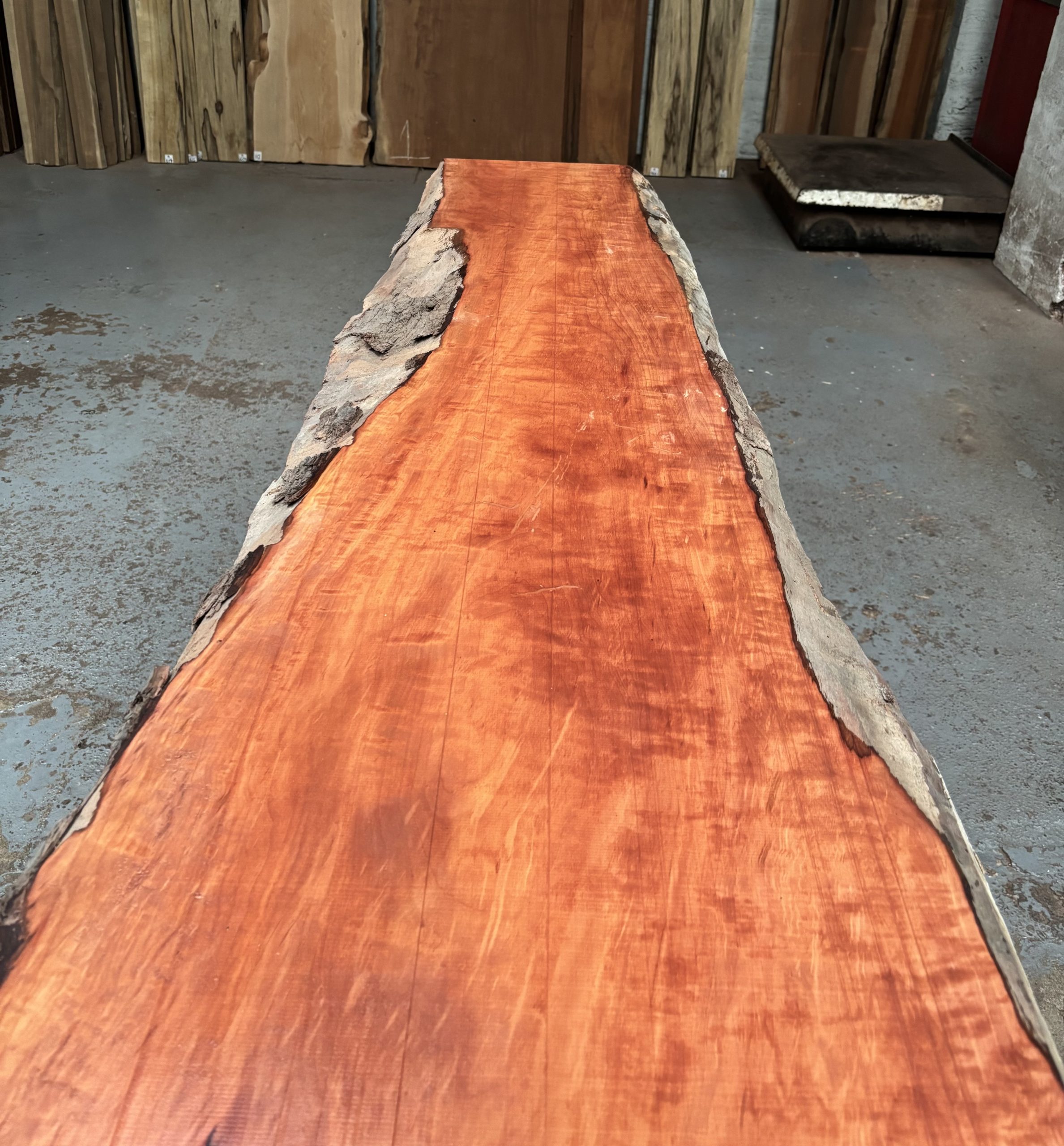 Pearwood (Figured Swiss) Rustic Grade 1630x360-520x37 mm