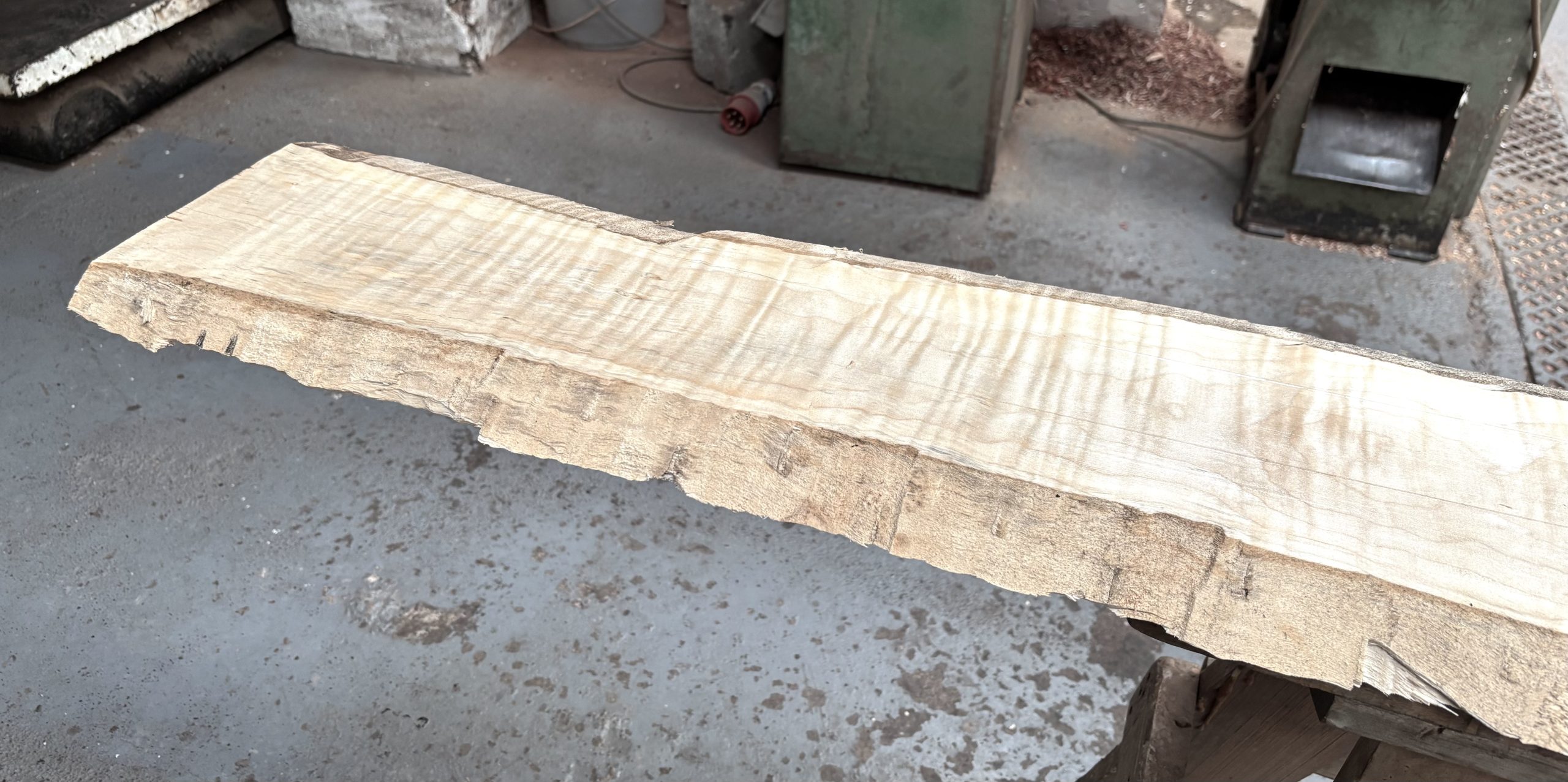 Curly Maple 1560x220-250x23 mm