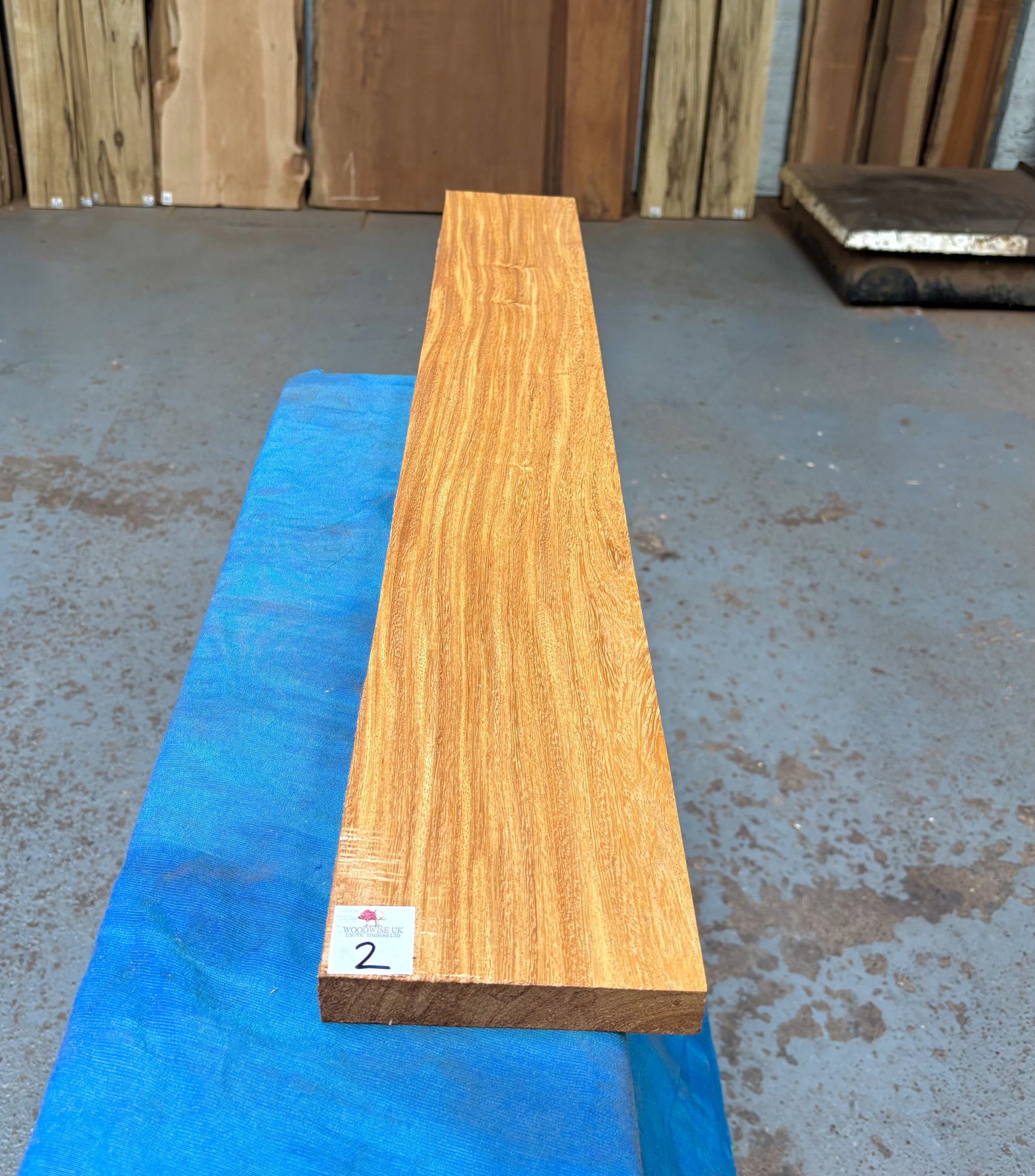 Wild Mango 1010x138x25 mm