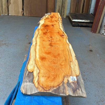 Yew 1340x240-300x33 mm