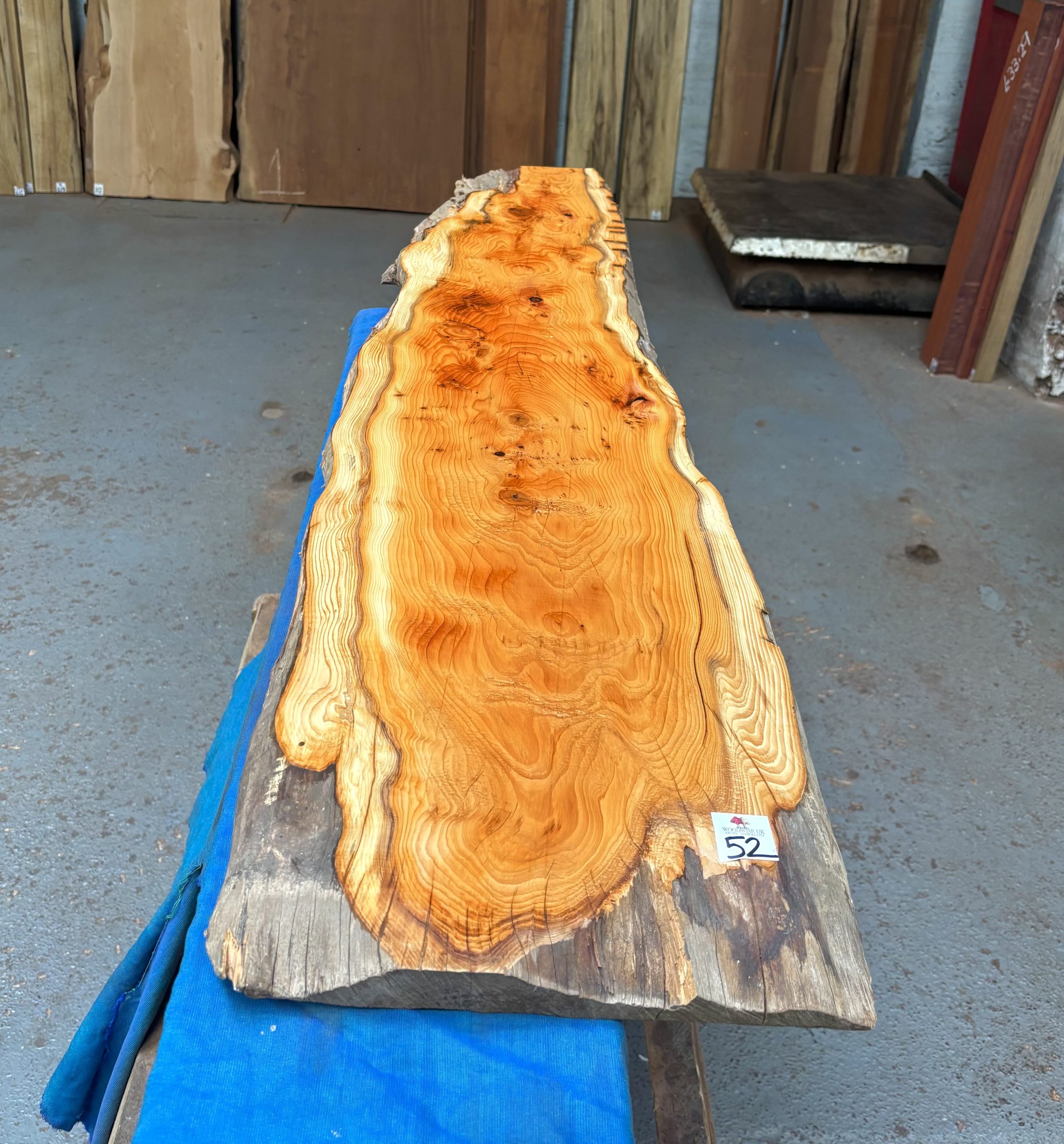 Yew 1340x240-300x33 mm