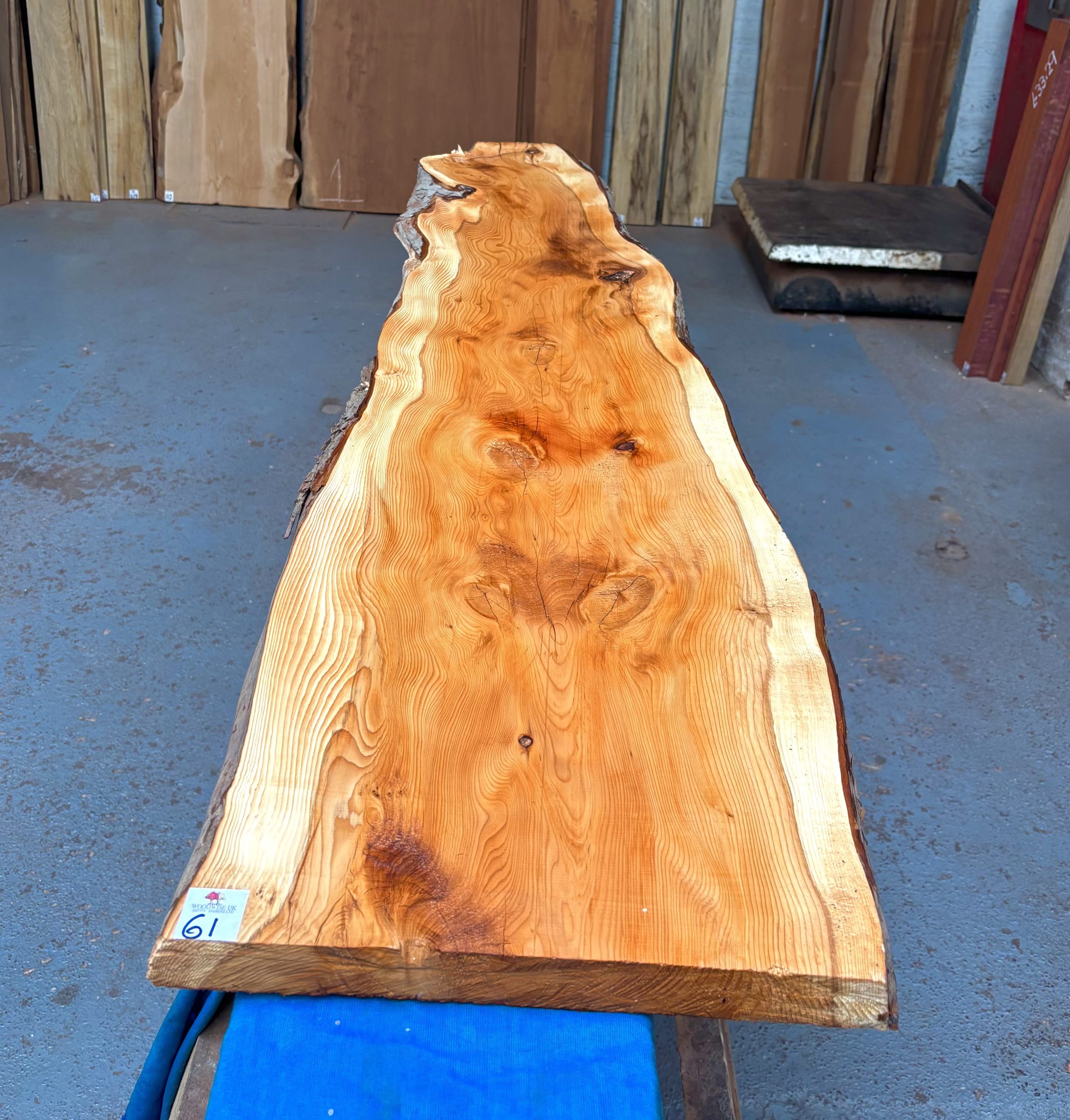 Yew 1625x300-380x34 mm
