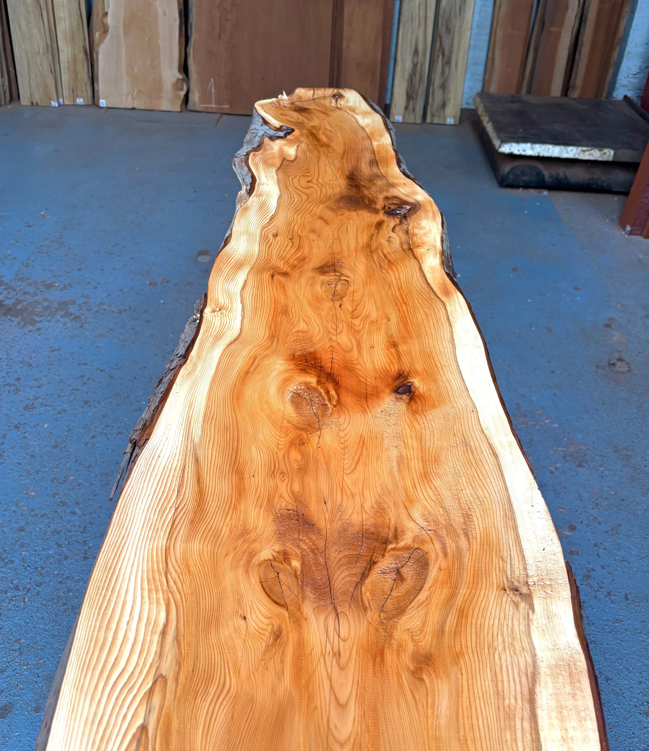 Yew 1625x300-380x34 mm