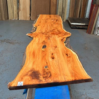 Yew 1730x430-480x30 mm