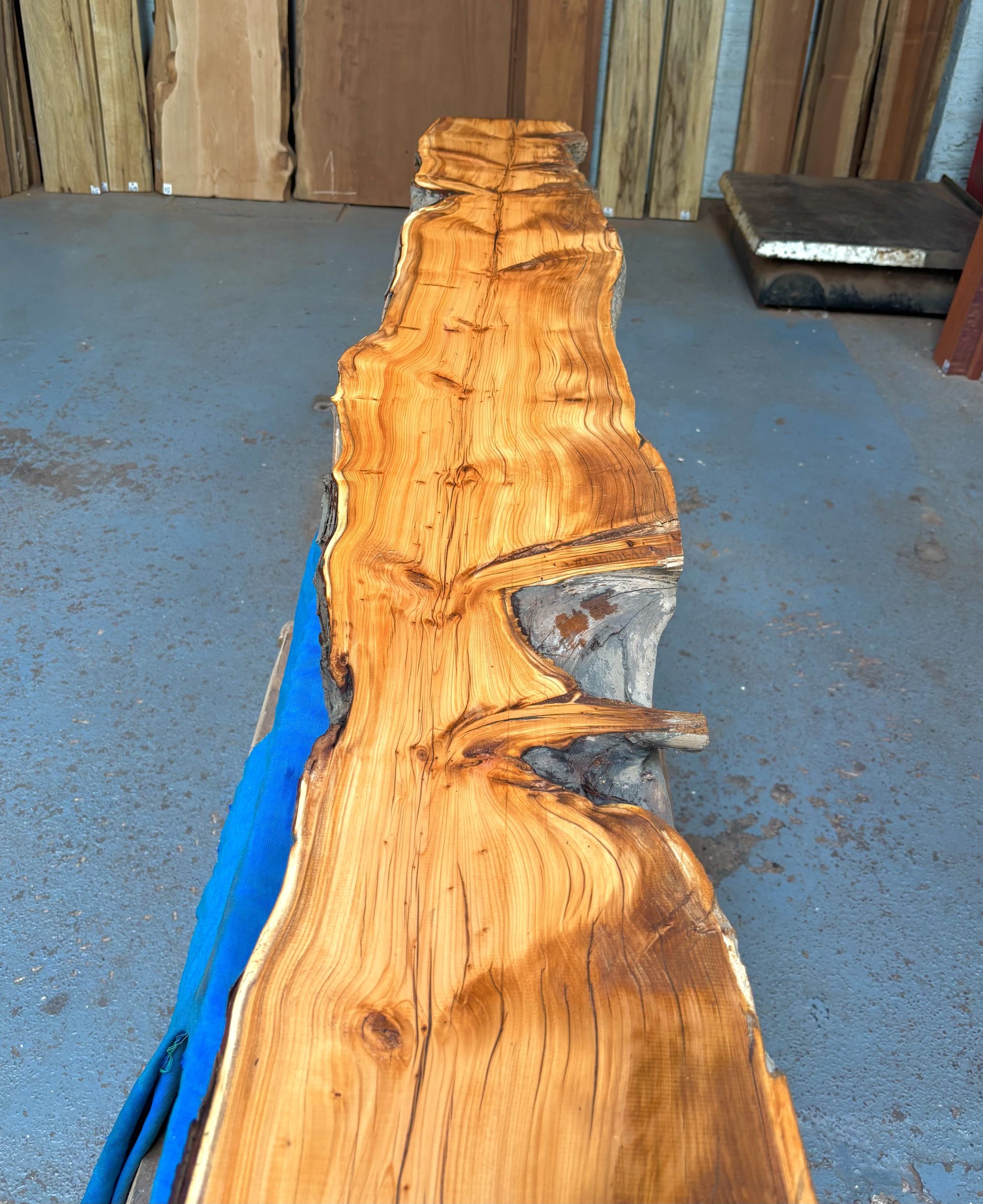 Yew 1940x240-280x32 mm
