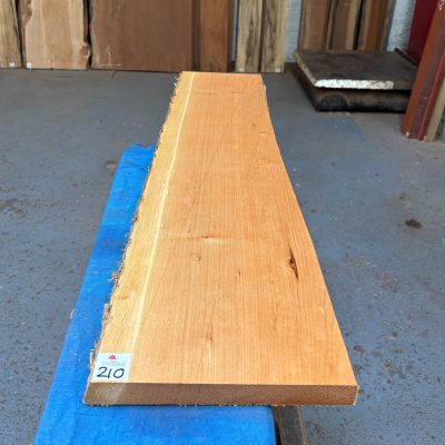 American Cherry 925x200-230x28 mm