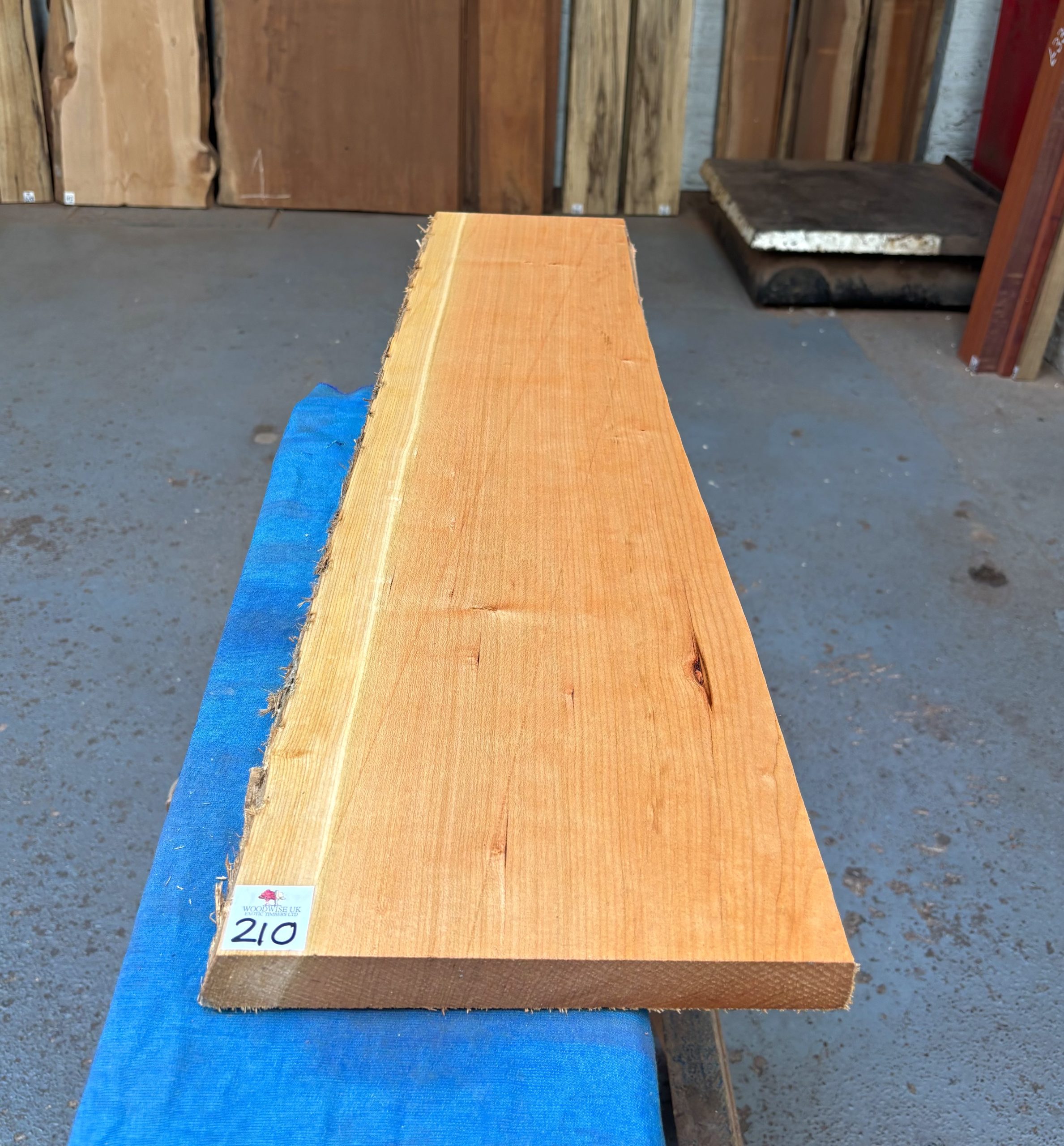 American Cherry 925x200-230x28 mm