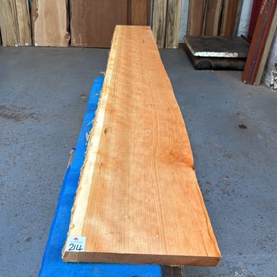 American Cherry 1745x230-270x27 mm