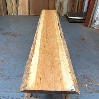 American Cherry 1915x300-330x28 mm