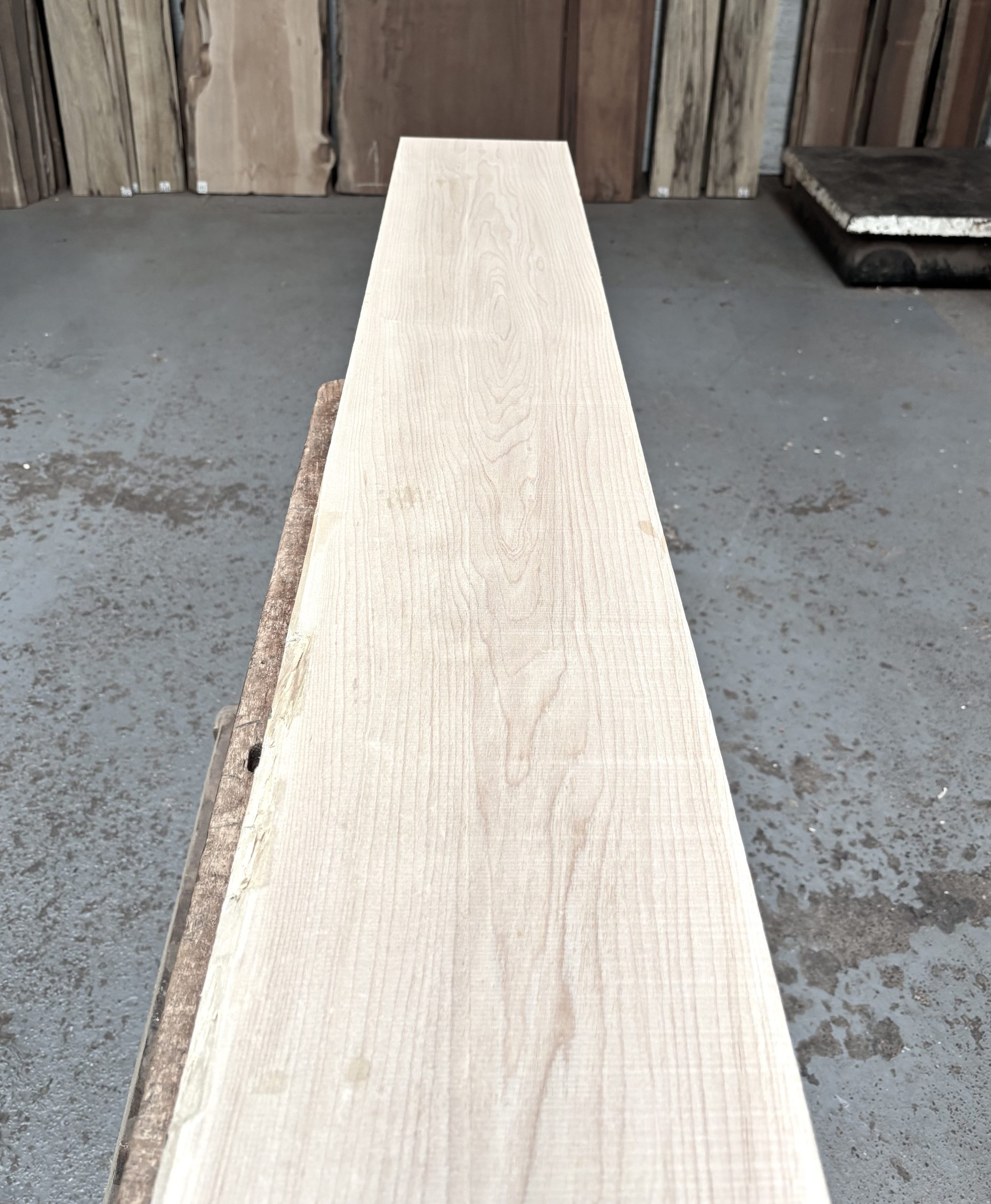 Maple 1405x215x49 mm