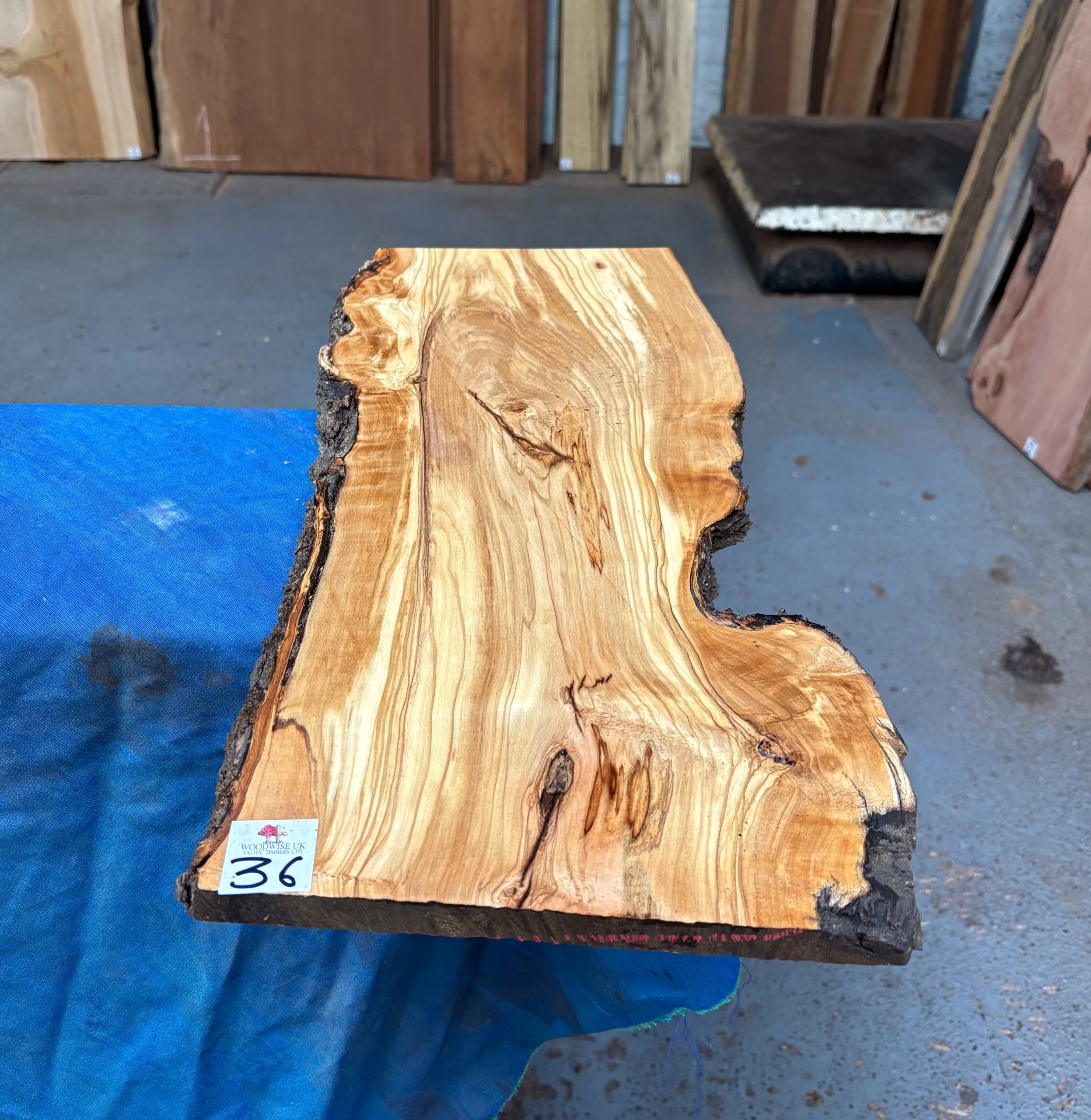 Mediterranean Olivewood Board 540x190-240x20 mm