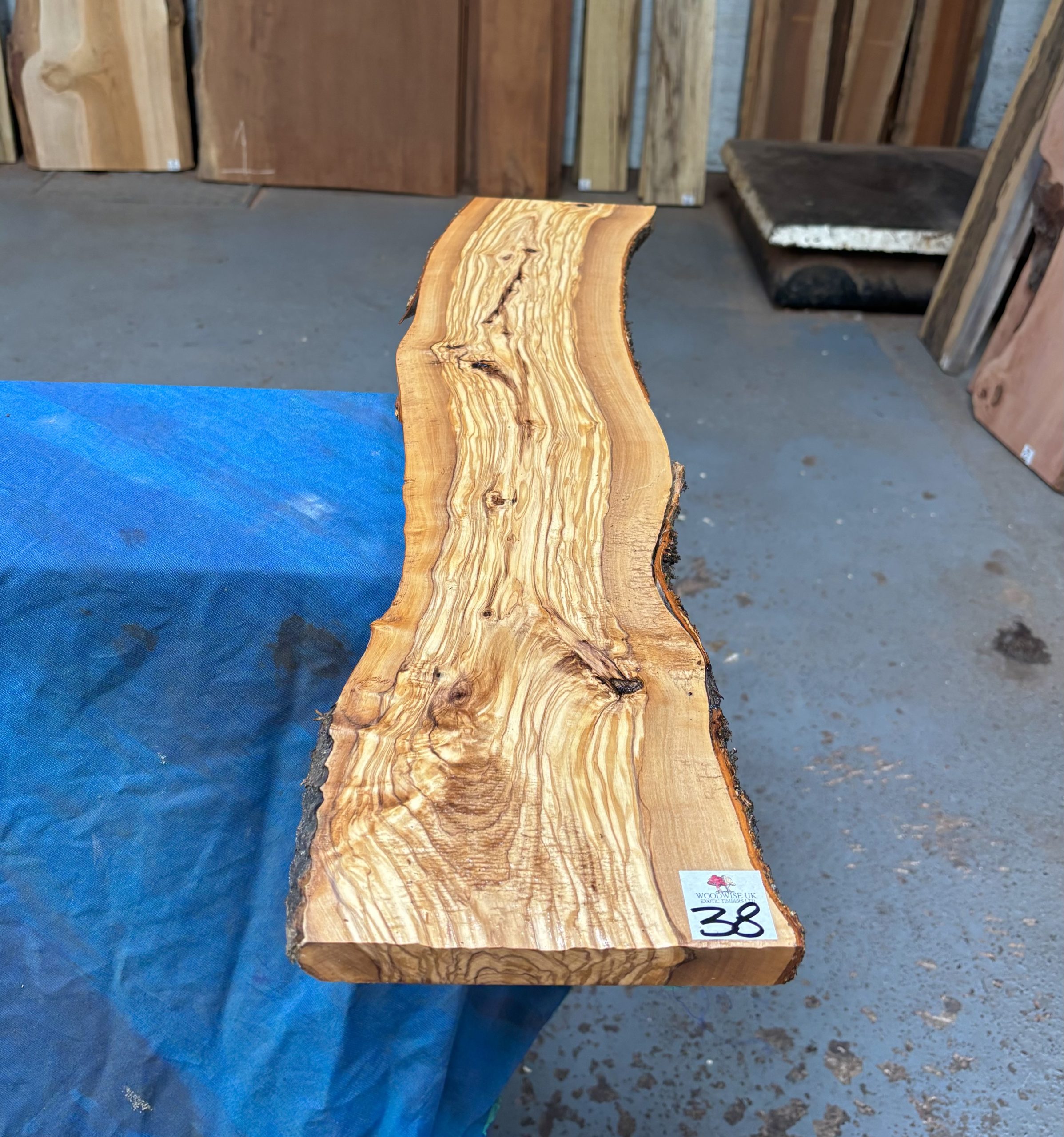 Mediterranean Olivewood Board 775x160x19 mm