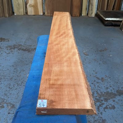 Steamed Beech (Rift Sawn) 1225x180-200x31 mm