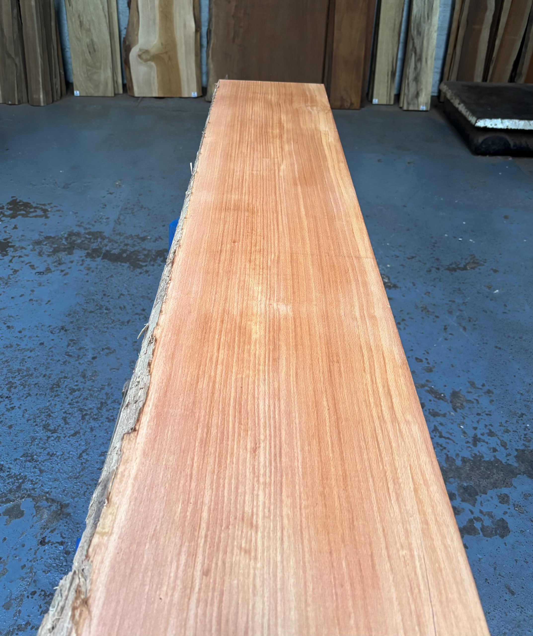 Steamed Beech (Rift Sawn) 1450x280-320x33 mm