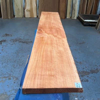 Steamed Beech (Rift Sawn) 1545x290x32 mm