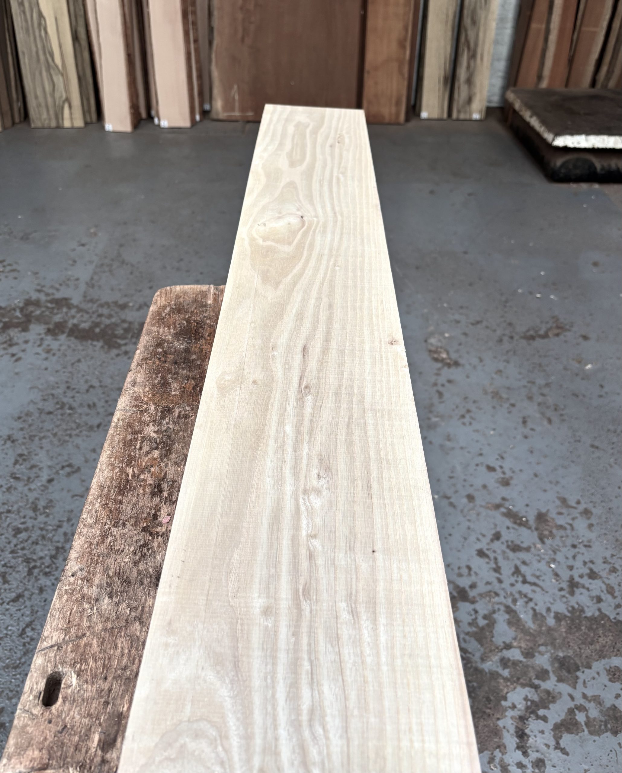 American Ash 1080x160x48 mm