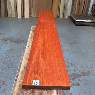 Bloodwood 1585x230x24 mm
