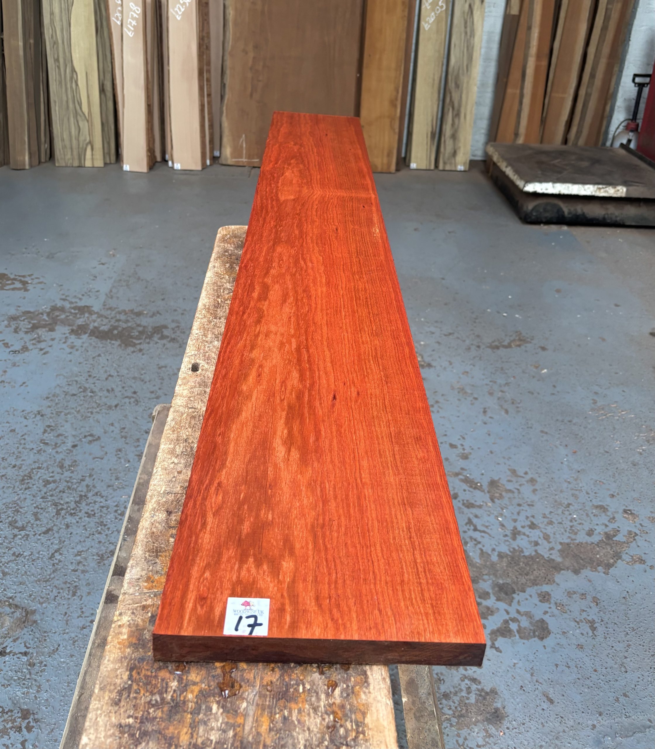Bloodwood 1585x230x24 mm