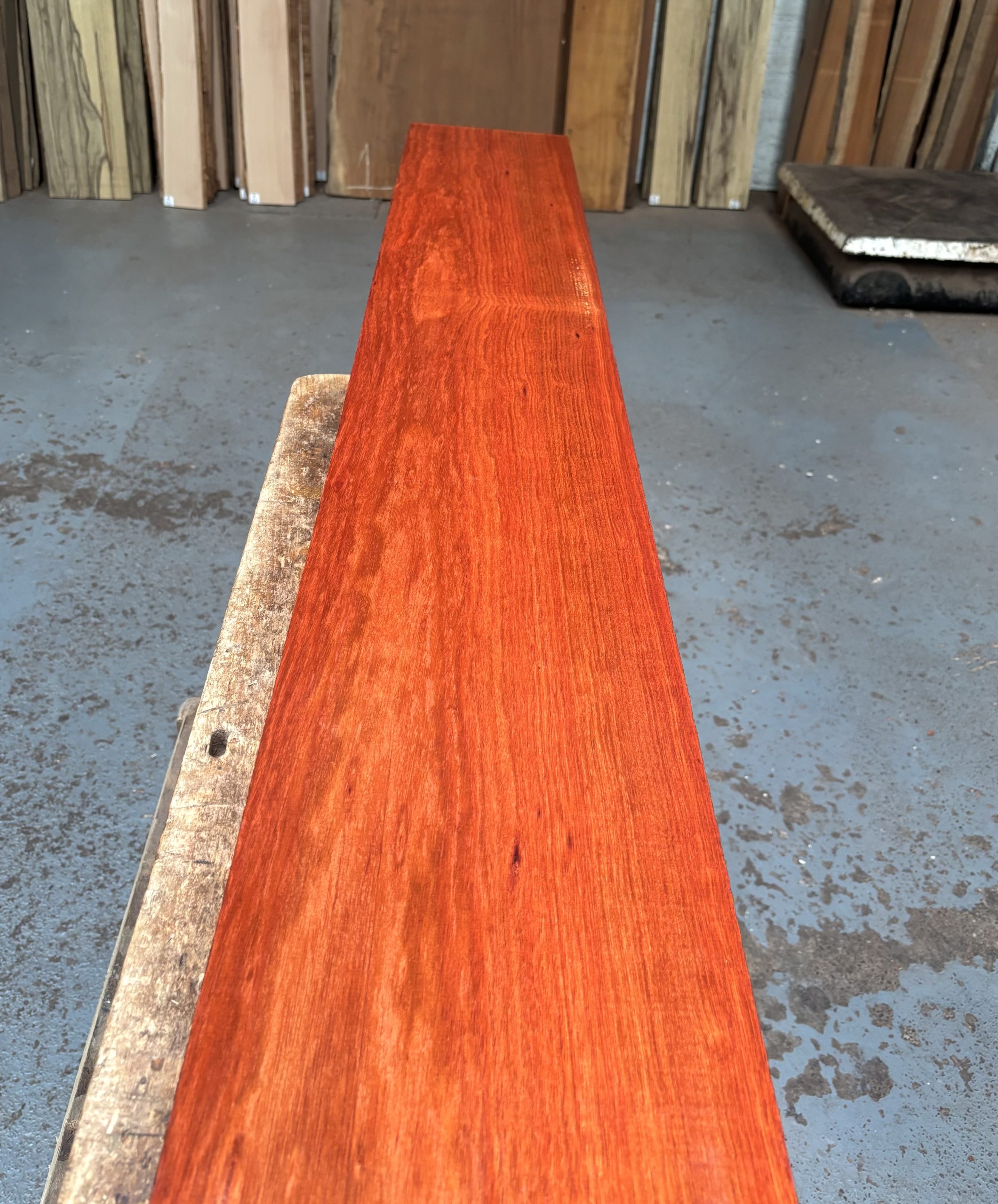 Bloodwood 1585x230x24 mm