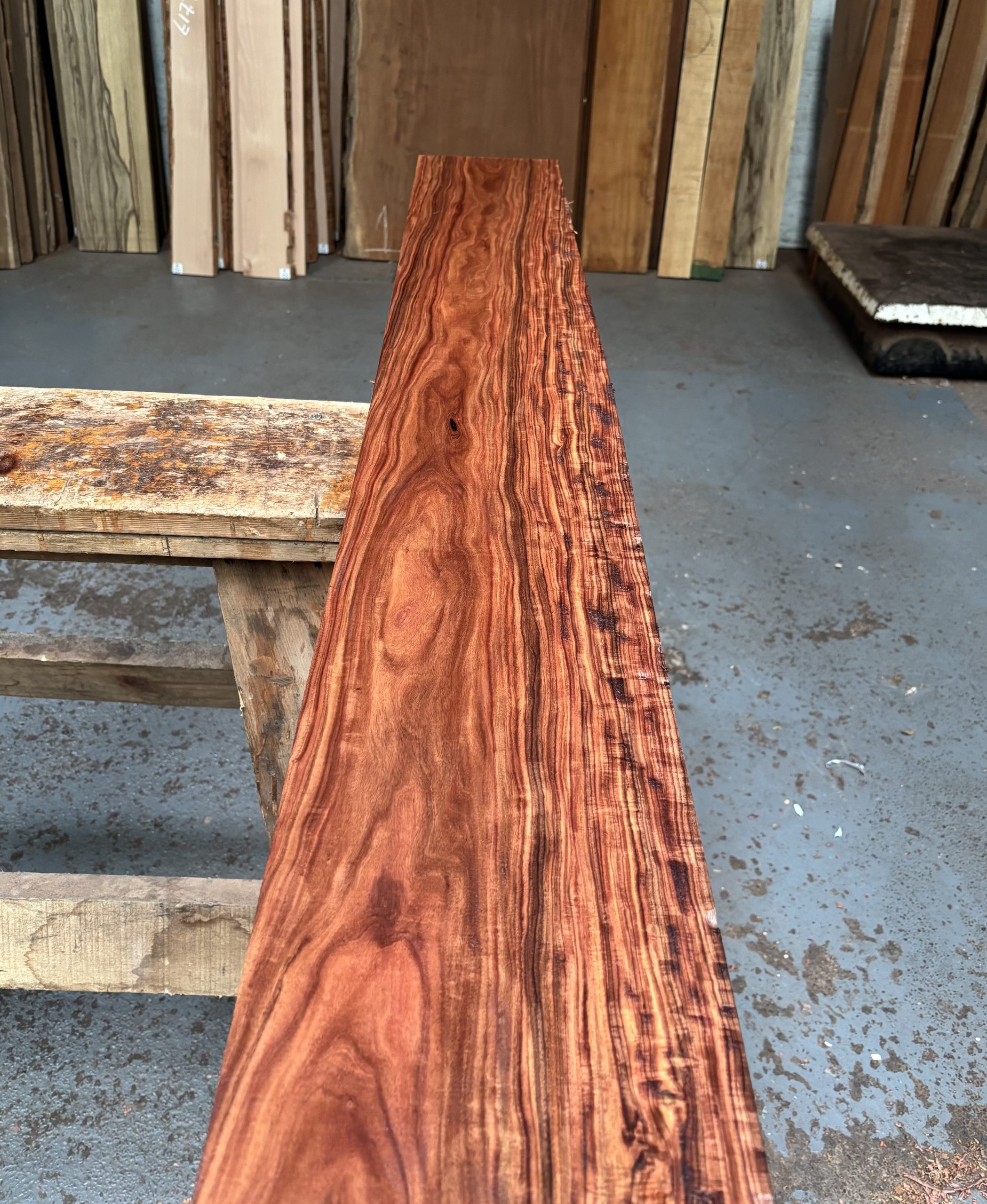 Bolivian Rosewood 1560x200x49 mm
