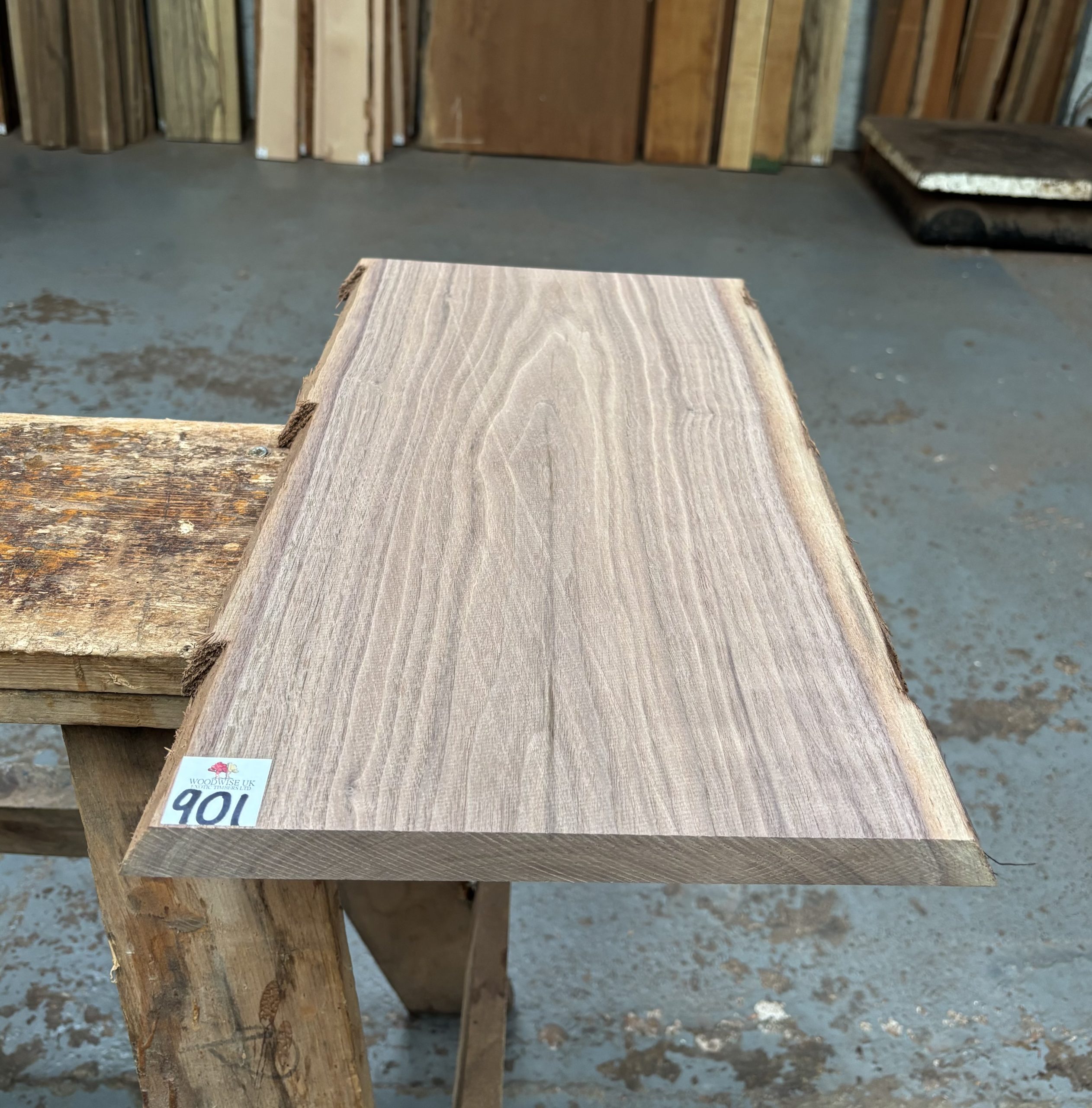 American Walnut 515x285x24 mm