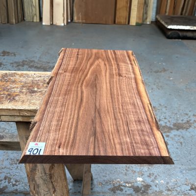 American Walnut 515x285x24 mm