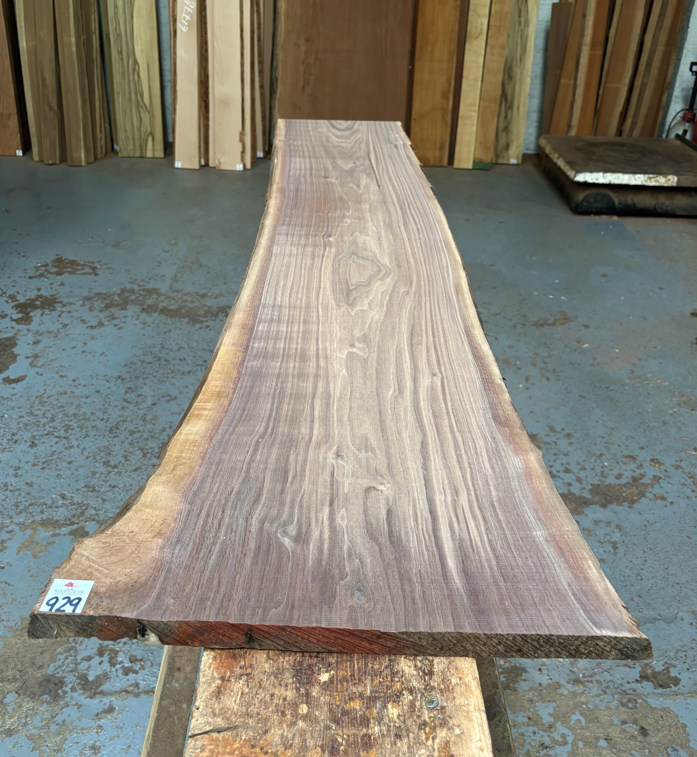 American Walnut 1580x300-400x24 mm