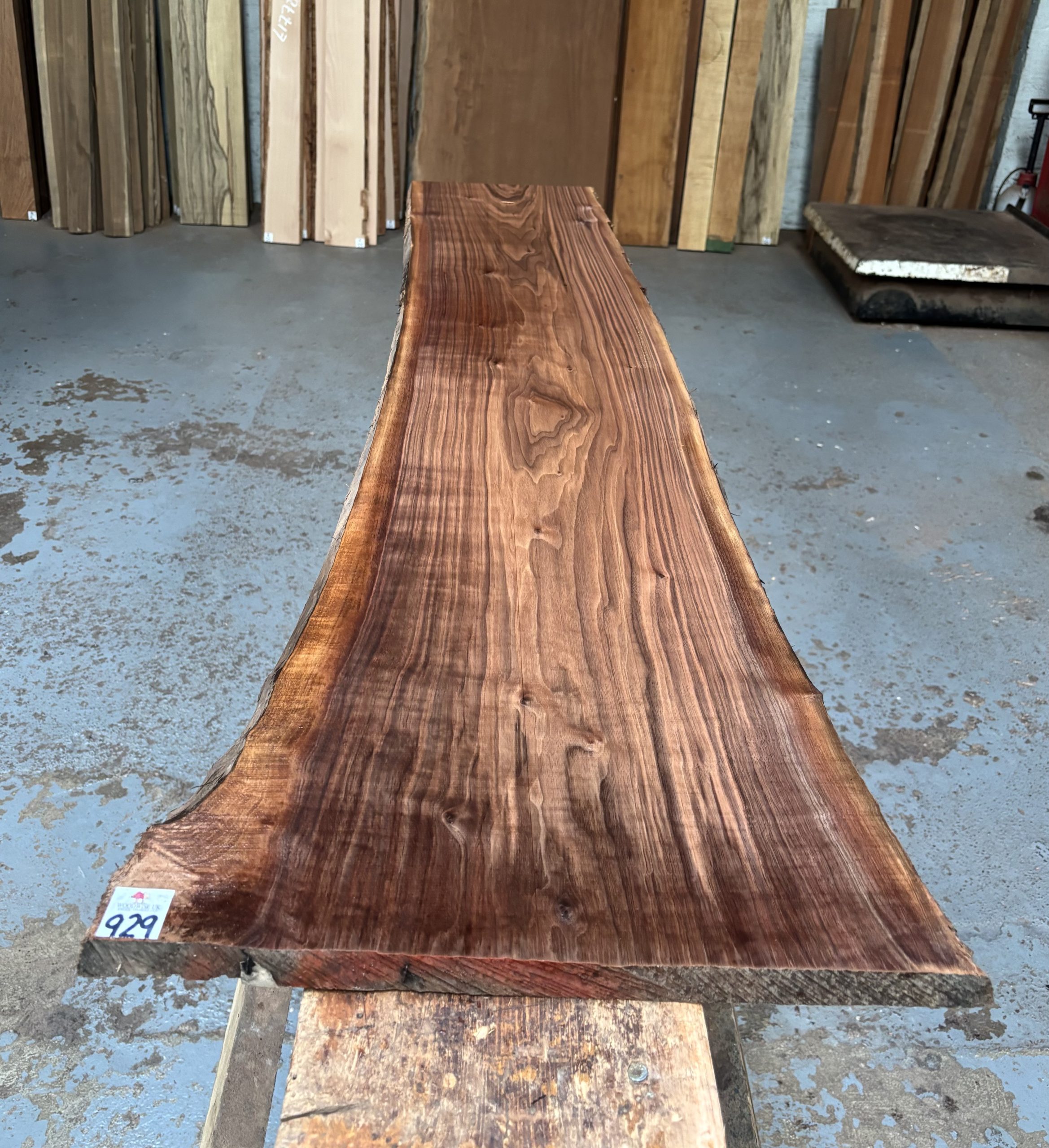 American Walnut 1580x300-400x24 mm