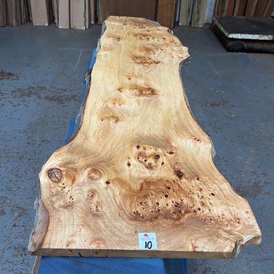 Pippy Grey Elm 1335x330-400x21 mm