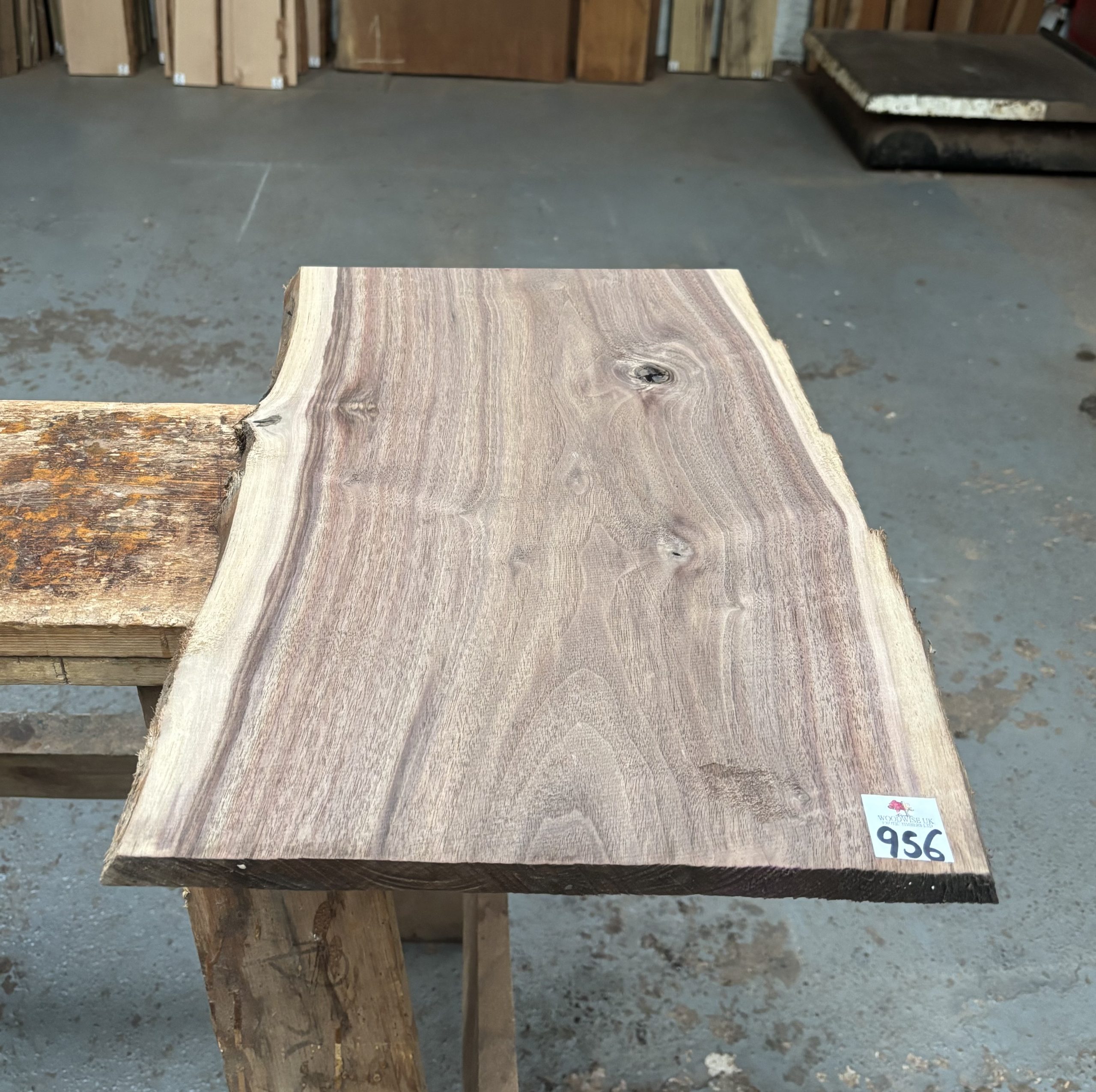 American Walnut 520x330-350x19 mm