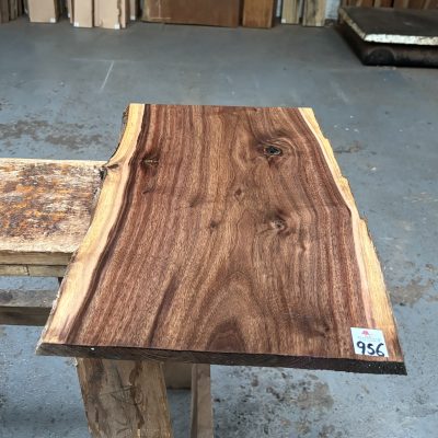 American Walnut 520x330-350x19 mm