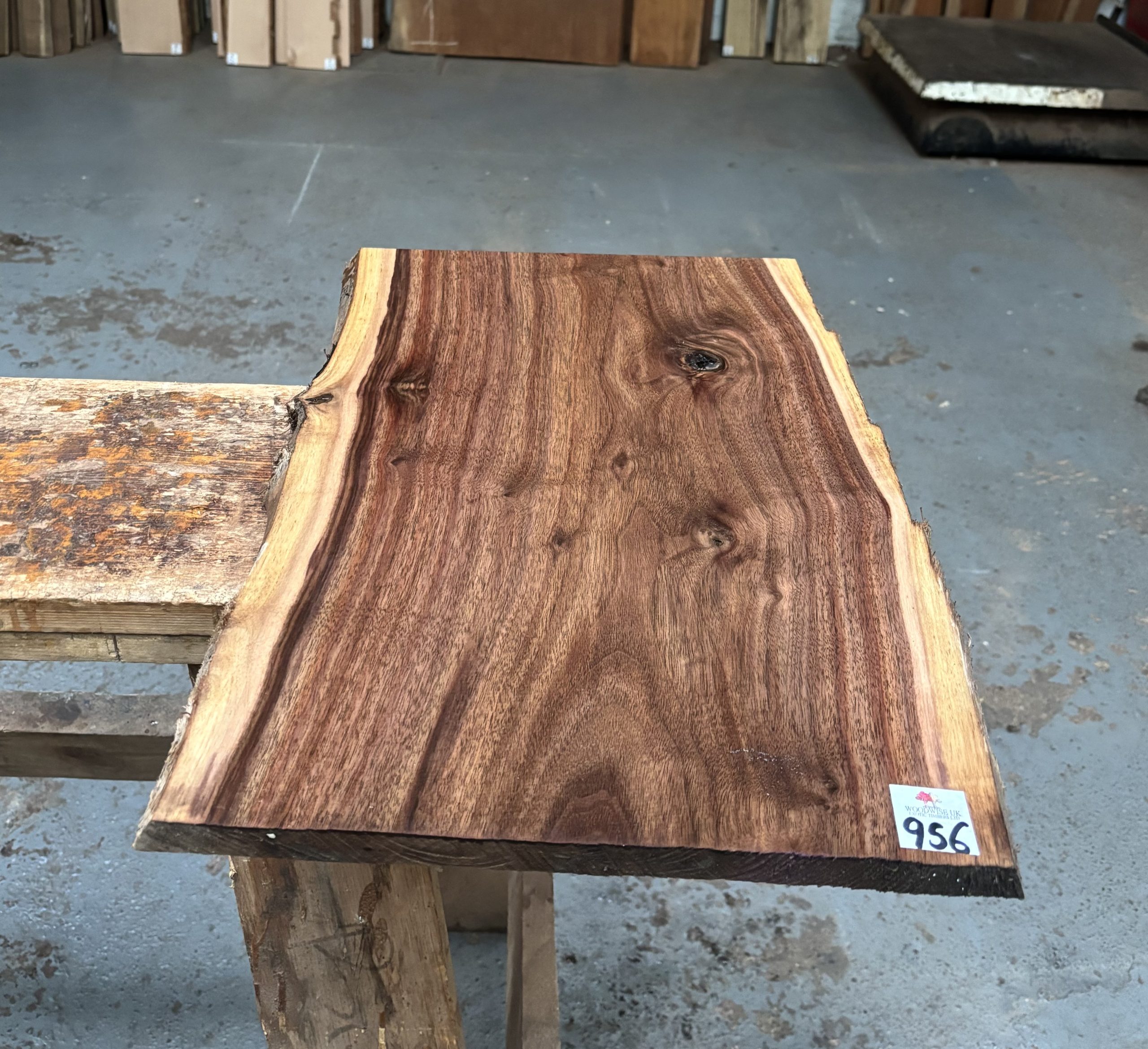 American Walnut 520x330-350x19 mm